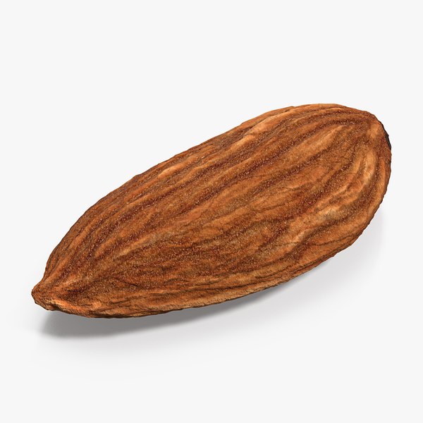 dry almond 3D