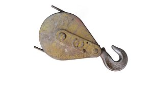the crane hook