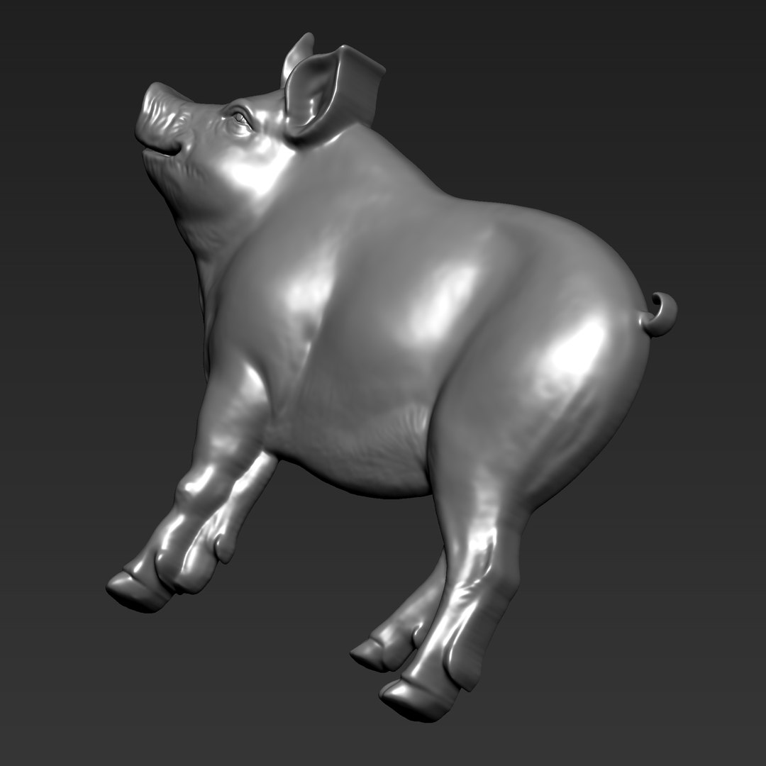 3D Pig Bas-relief Model - TurboSquid 2435591