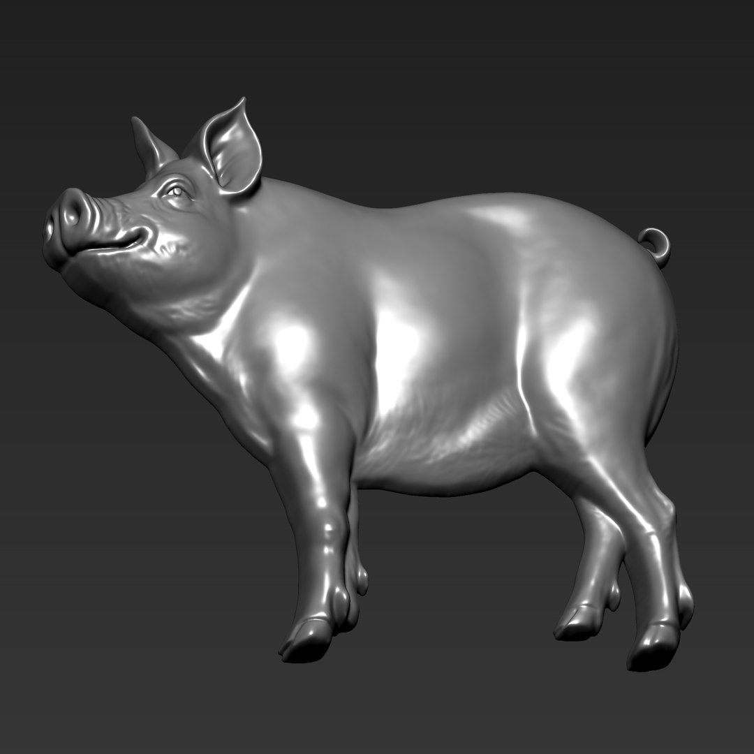 3D Pig Bas-relief Model - TurboSquid 2435591