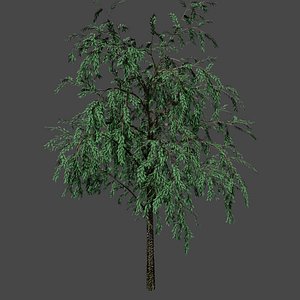3D tree pbr