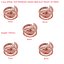 5 Size  SPIRAL TOP PERMIUM UNISEX BRACELET FOR JEWLLERY DESIGN