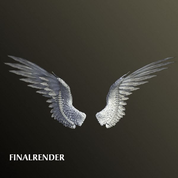 3d model bird angel wings