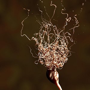 Neuron (mammalian)