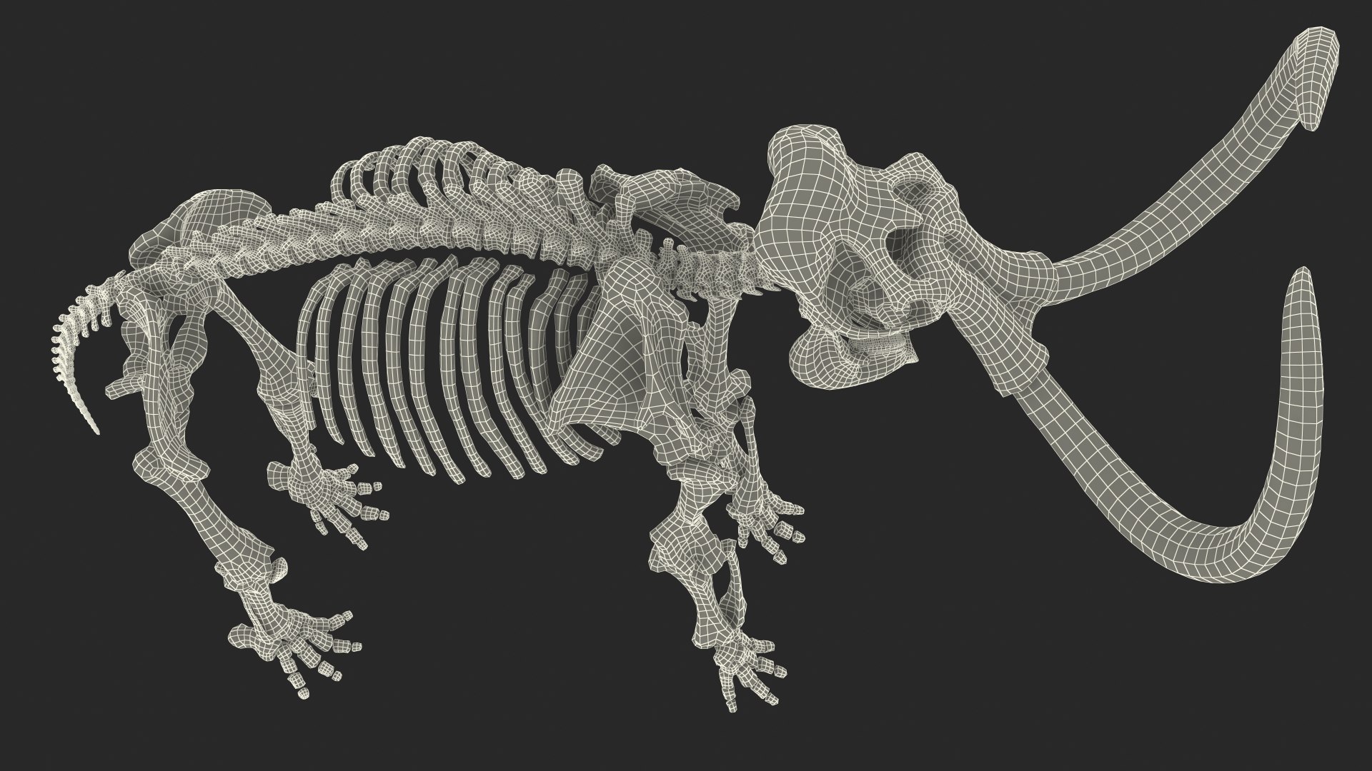 3D model Mammoth Skeleton Clean Bones Rigged for Maya https://p.turbosquid.com/ts-thumb/m3/ET2hK5/4P/mammothskeletoncleanbonesrigged3dmodel032/jpg/1635205347/1920x1080/fit_q87/a276014d505dd2536eecb81d7d2af06c745e2a05/mammothskeletoncleanbonesrigged3dmodel032.jpg