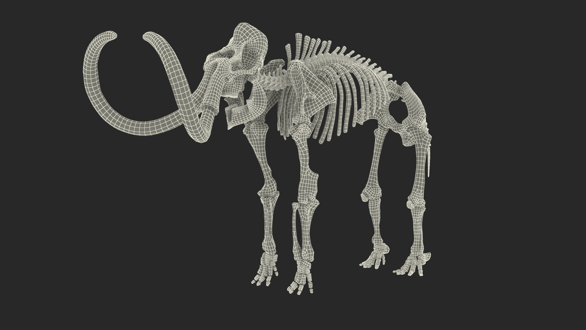 3D model Mammoth Skeleton Clean Bones Rigged for Maya https://p.turbosquid.com/ts-thumb/m3/ET2hK5/Gm/mammoth_skeleton_clean_bones_rigged_361/jpg/1635205482/1920x1080/turn_fit_q99/60bf593ac94fd615b9fcecacaffe283bc7a8eaeb/mammoth_skeleton_clean_bones_rigged_361-1.jpg