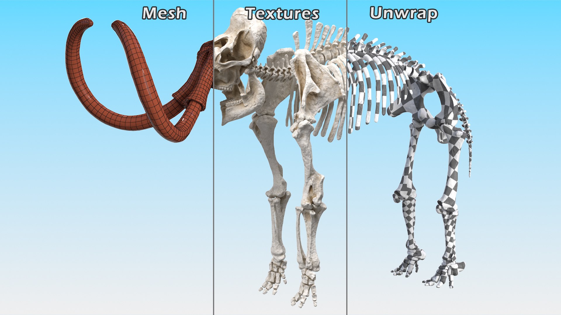 3D model Mammoth Skeleton Clean Bones Rigged for Maya https://p.turbosquid.com/ts-thumb/m3/ET2hK5/Po/mammothskeletoncleanbonesrigged3dmodel024/jpg/1635205326/1920x1080/fit_q87/5375dd4bd89e6ccee36f49d2e640e3539a965b88/mammothskeletoncleanbonesrigged3dmodel024.jpg
