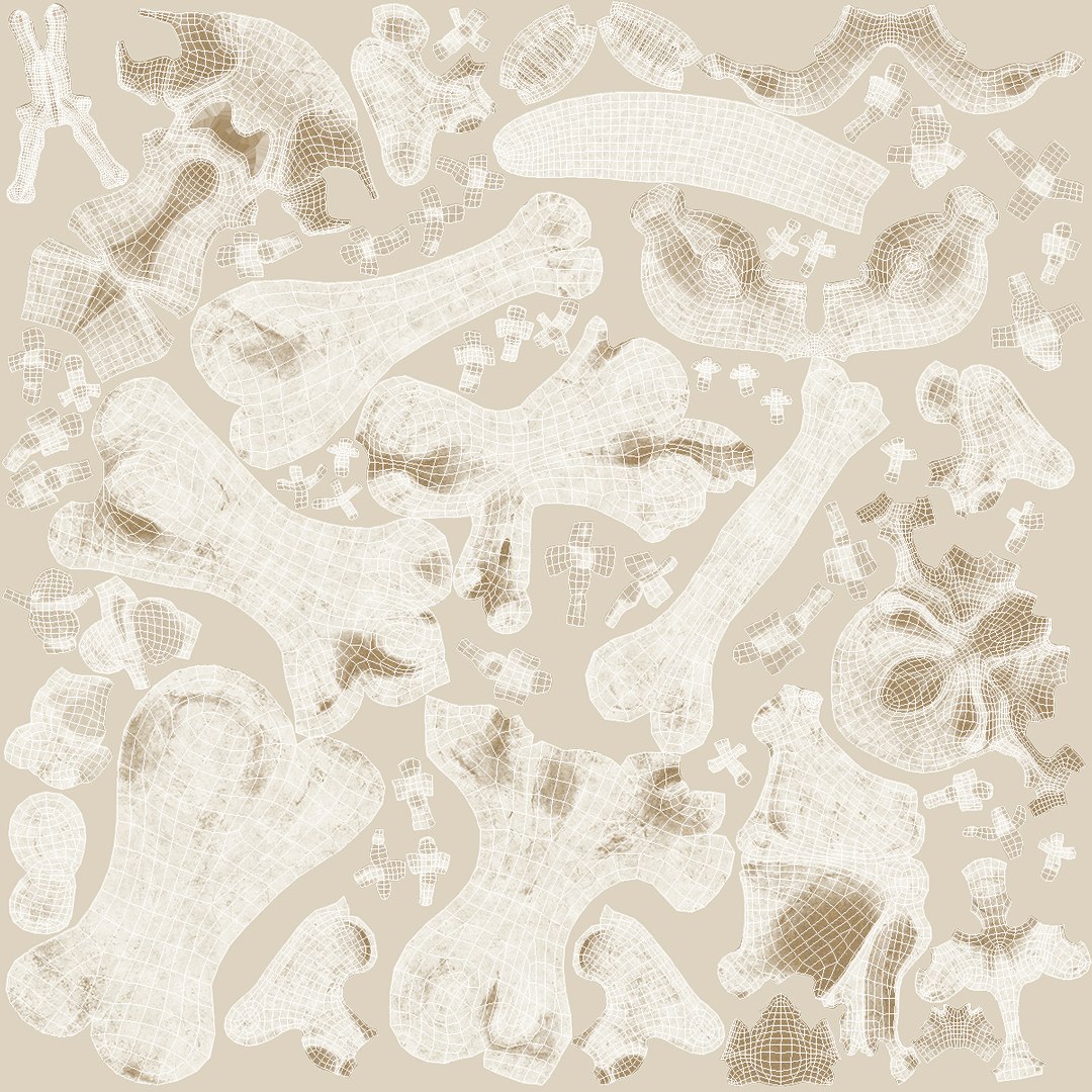 3D model Mammoth Skeleton Clean Bones Rigged for Maya https://p.turbosquid.com/ts-thumb/m3/ET2hK5/bN/mammothskeletoncleanbonesrigged3dmodel027/jpg/1635205335/1920x1080/fit_q87/99dfcc3a0fc5f8e0a2be9242c1f4de7b22091f61/mammothskeletoncleanbonesrigged3dmodel027.jpg