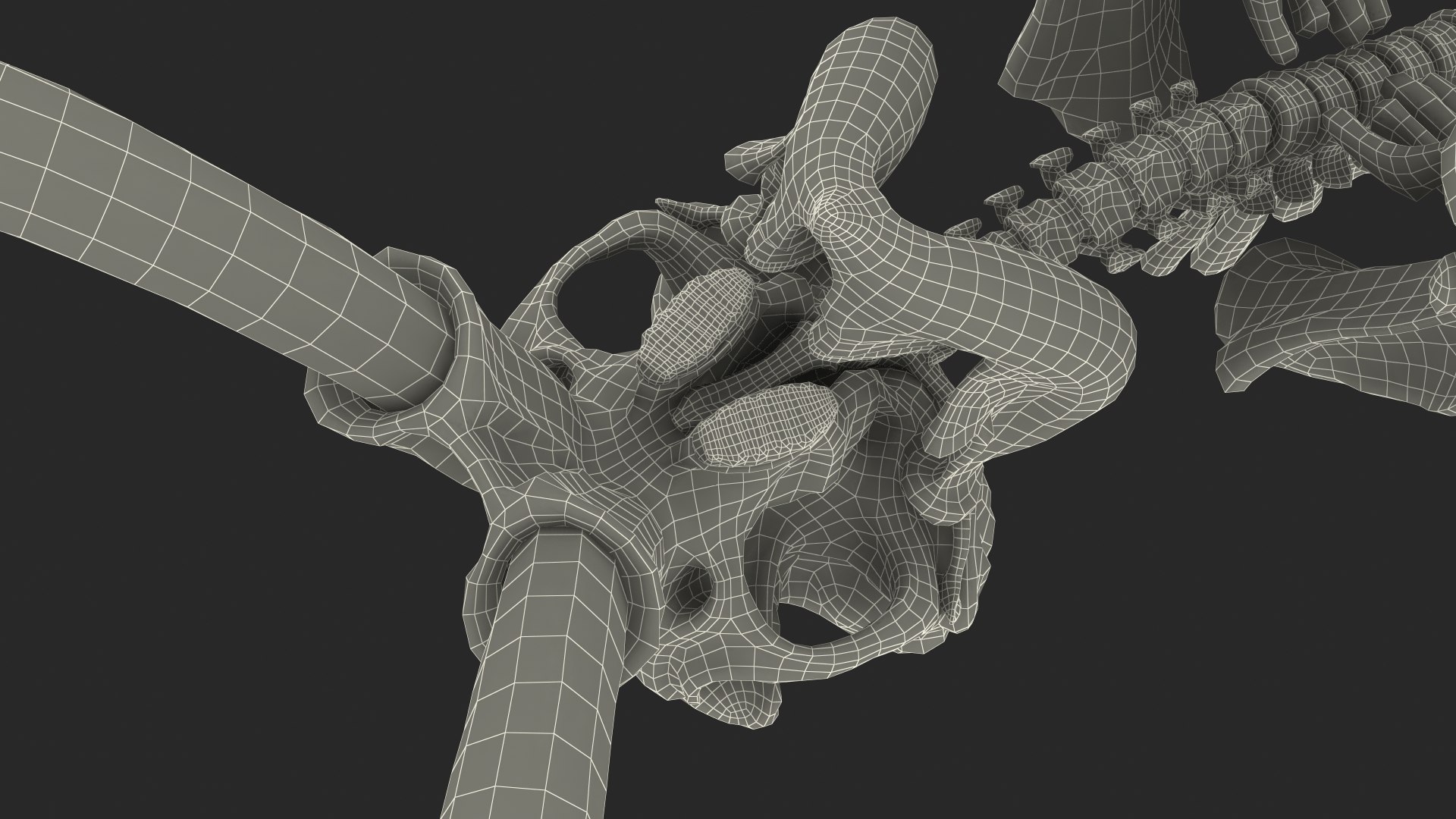 3D model Mammoth Skeleton Clean Bones Rigged for Maya https://p.turbosquid.com/ts-thumb/m3/ET2hK5/cw/mammothskeletoncleanbonesrigged3dmodel035/jpg/1635205354/1920x1080/fit_q87/5d1d7f39b98b3d45b64ae8857906350d69a519d9/mammothskeletoncleanbonesrigged3dmodel035.jpg