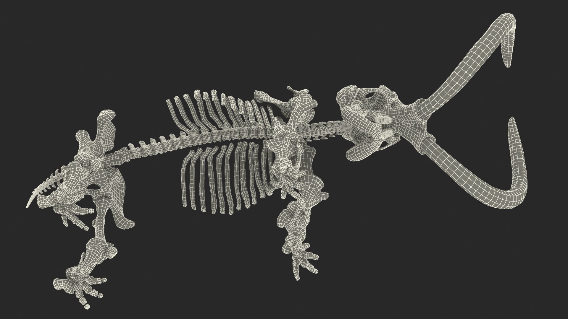 3D model Mammoth Skeleton Clean Bones Rigged for Maya https://p.turbosquid.com/ts-thumb/m3/ET2hK5/ey/mammothskeletoncleanbonesrigged3dmodel033/jpg/1635205350/1920x1080/fit_q87/f89790b0f39d7baf5ab336dea9208a1d631d05ed/mammothskeletoncleanbonesrigged3dmodel033.jpg