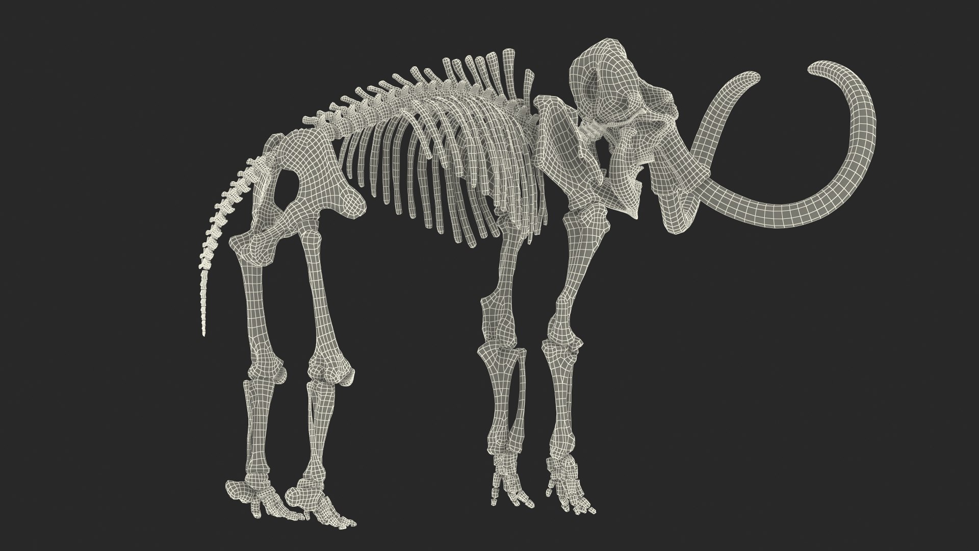 3D model Mammoth Skeleton Clean Bones Rigged for Maya https://p.turbosquid.com/ts-thumb/m3/ET2hK5/fm/mammothskeletoncleanbonesrigged3dmodel030/jpg/1635205343/1920x1080/fit_q87/b86faeeeabb767f80487d455cc7208d926fc524c/mammothskeletoncleanbonesrigged3dmodel030.jpg