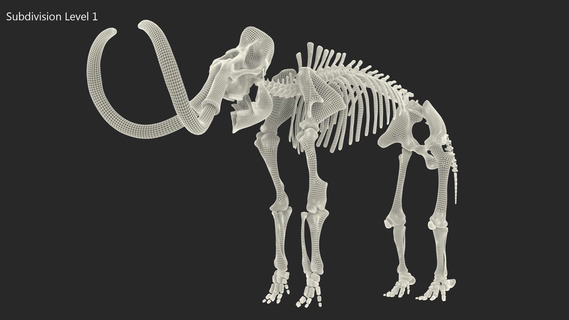 3D model Mammoth Skeleton Clean Bones Rigged for Maya https://p.turbosquid.com/ts-thumb/m3/ET2hK5/gT/mammothskeletoncleanbonesrigged3dmodel026/jpg/1635205332/1920x1080/fit_q87/cb10fab869da0caa53937d26f5380cc3d2c69287/mammothskeletoncleanbonesrigged3dmodel026.jpg