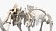 Mammoth Skeleton Clean Bones Rigged for Maya