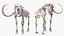 Mammoth Skeleton Clean Bones Rigged for Maya