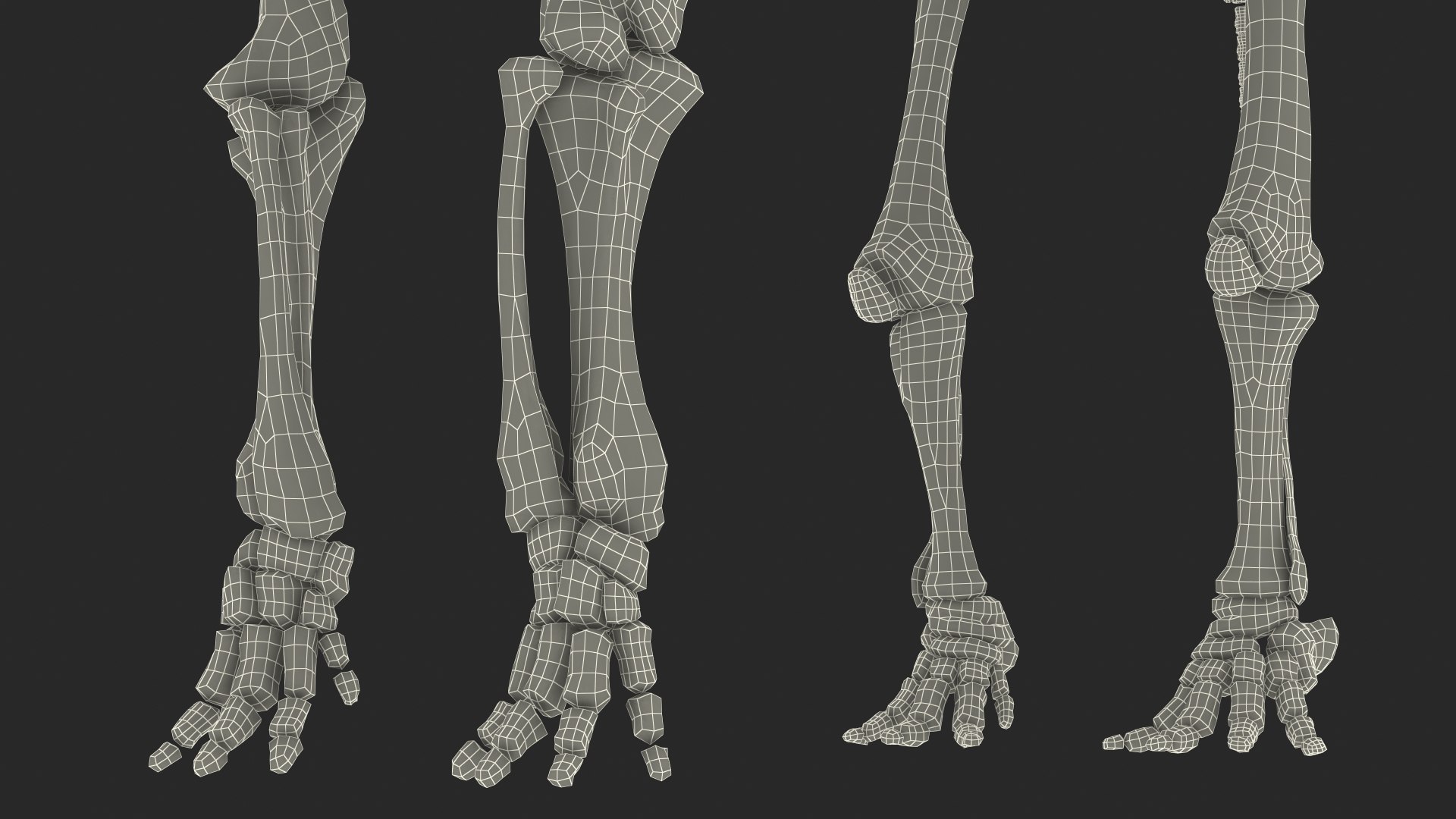 3D model Mammoth Skeleton Clean Bones Rigged for Maya https://p.turbosquid.com/ts-thumb/m3/ET2hK5/xO/mammothskeletoncleanbonesrigged3dmodel037/jpg/1635205359/1920x1080/fit_q87/a4028af5717b7fefa2c043173fb8b05e650a325d/mammothskeletoncleanbonesrigged3dmodel037.jpg