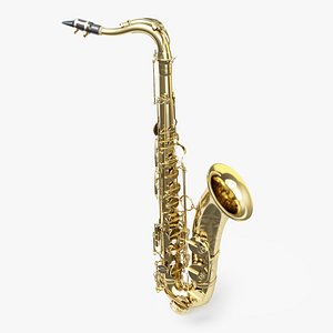 Selmer Tenor Saxophone