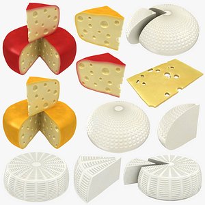 cheese gouda wheel model