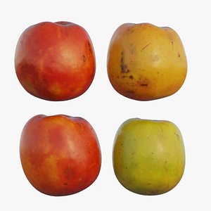 3D persimmon