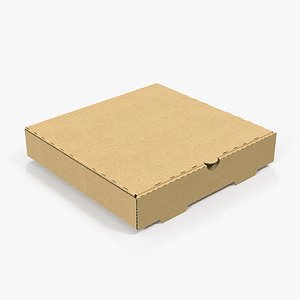 Carton Pizza Box