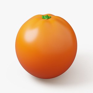 3D Orange Fruit Stylized