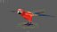 3D parrot rigged model