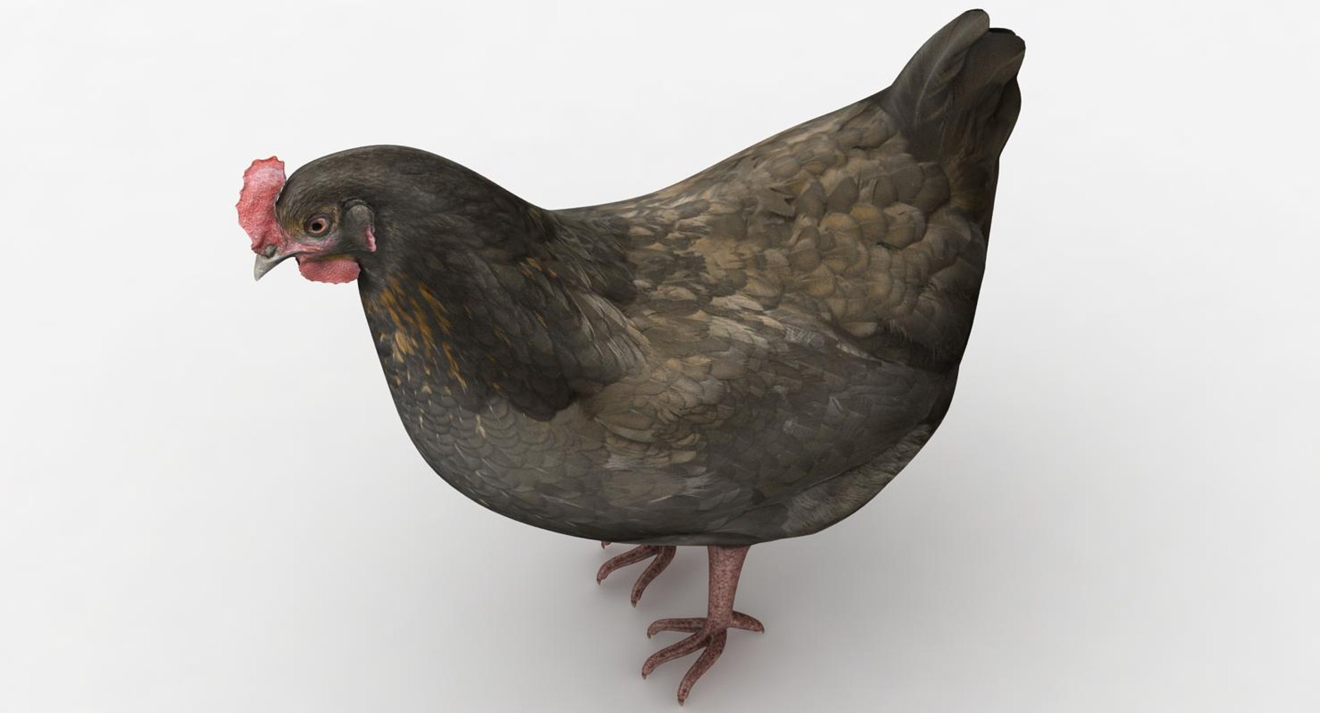 3D model realistic hen brown - TurboSquid 1151964
