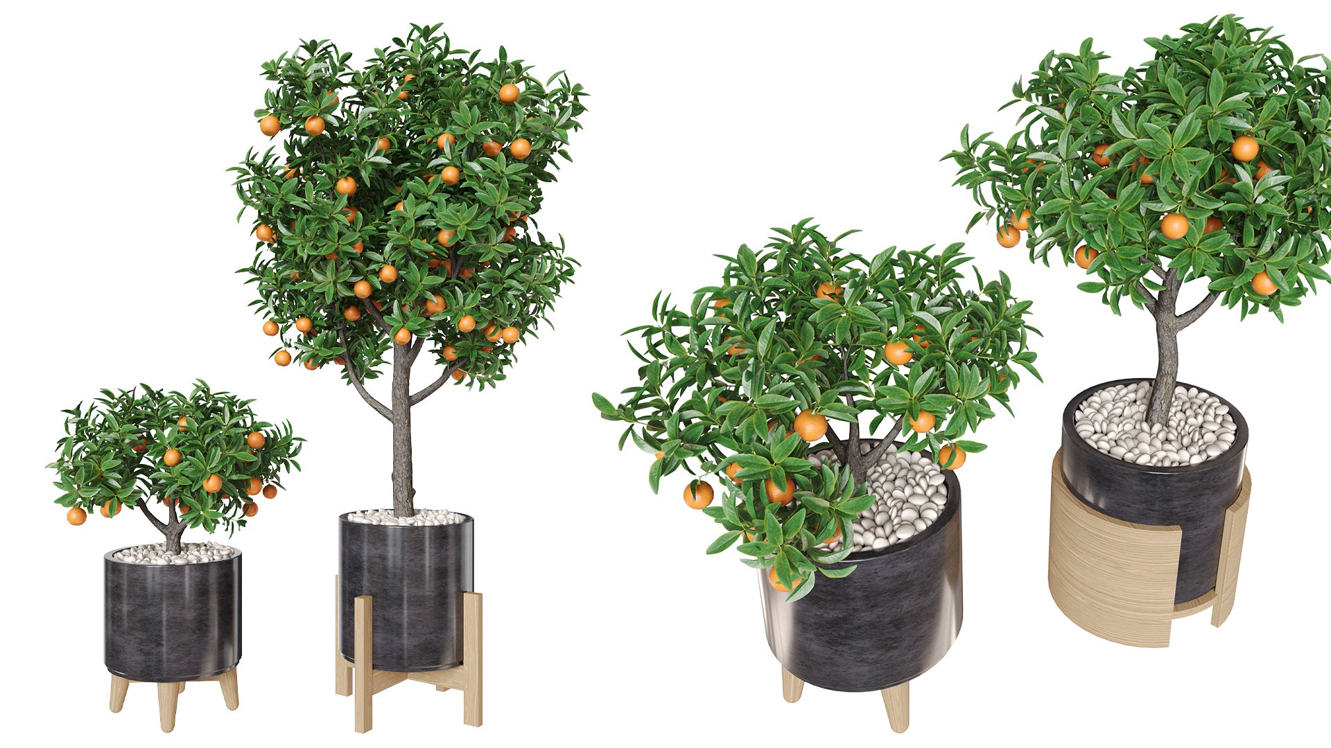 3D model Orange tree in a pot 3D https://p.turbosquid.com/ts-thumb/m3/rv1BQg/4l/z03/jpg/1719351753/1920x1080/fit_q87/be0b9e9eacd6a403504b7f8573568f9c53f31773/z03.jpg