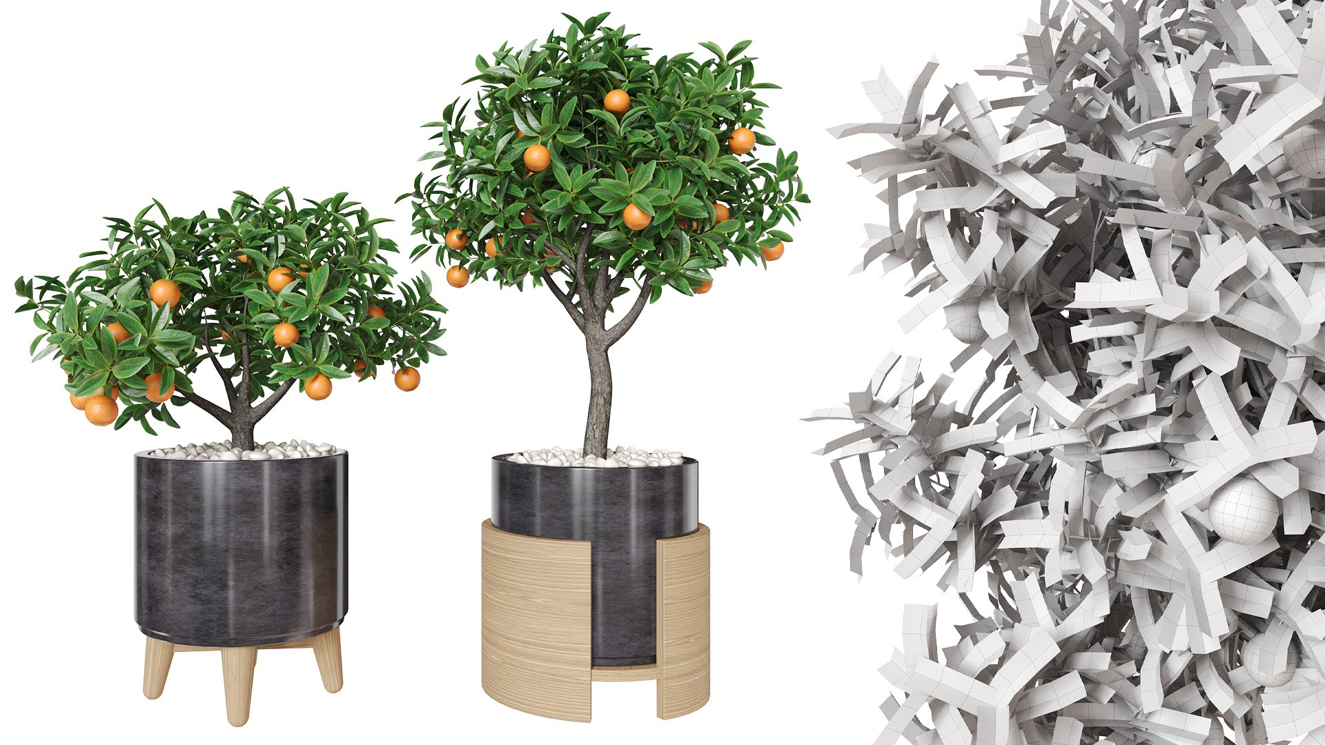 3D model Orange tree in a pot 3D https://p.turbosquid.com/ts-thumb/m3/rv1BQg/qP/z02/jpg/1719351533/1920x1080/fit_q87/7dada9c332edf143443c960e3d4cb667320b58bf/z02.jpg