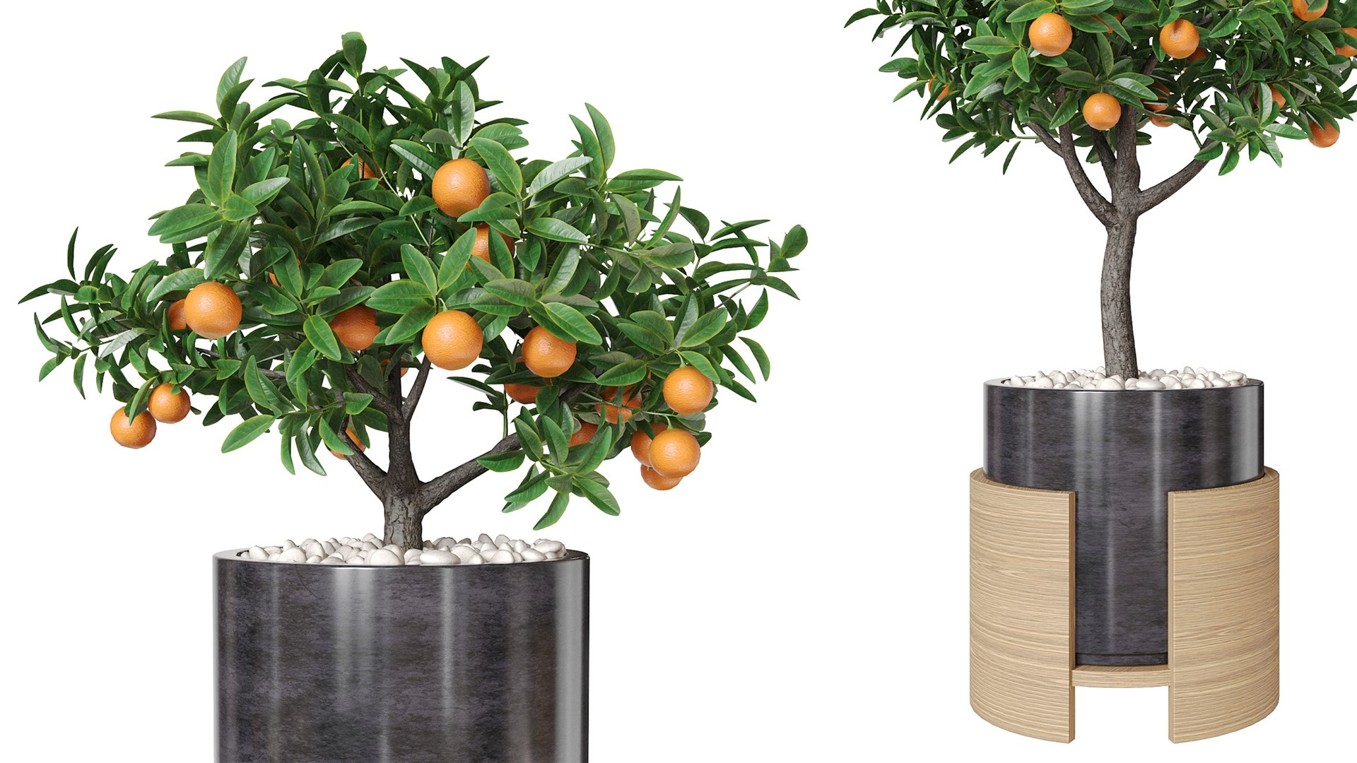 3D model Orange tree in a pot 3D https://p.turbosquid.com/ts-thumb/m3/rv1BQg/sk/z05/jpg/1719351876/1920x1080/fit_q87/c795c626e2cf68676546d66e233f68fde3597e7a/z05.jpg