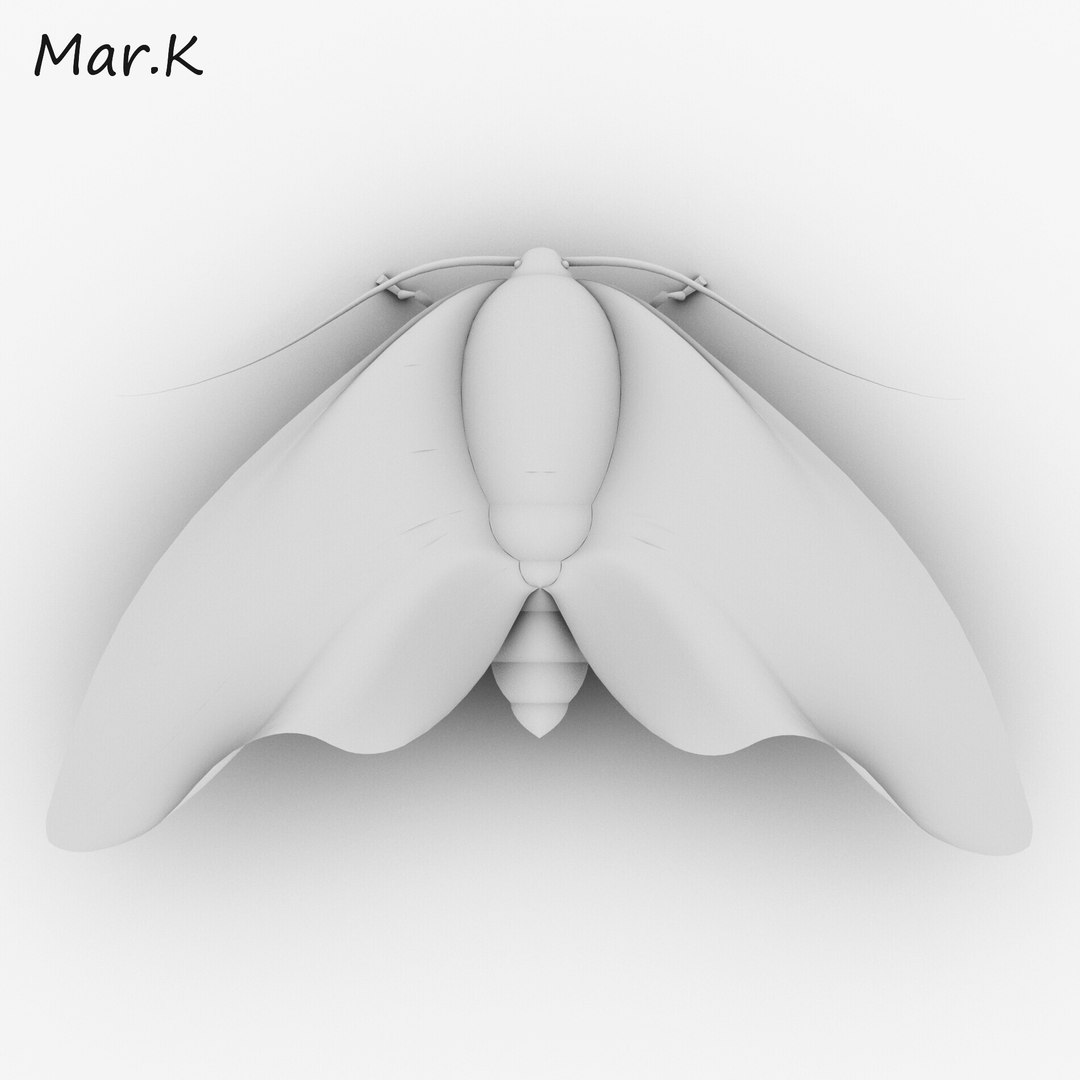 3d owlet moth https://p.turbosquid.com/ts-thumb/m3/xJUjV2/ByS3cBhV/004/jpg/1477901911/1920x1080/fit_q87/44a430216f6afae1deb9f6ae05aa160d2dd2f523/004.jpg