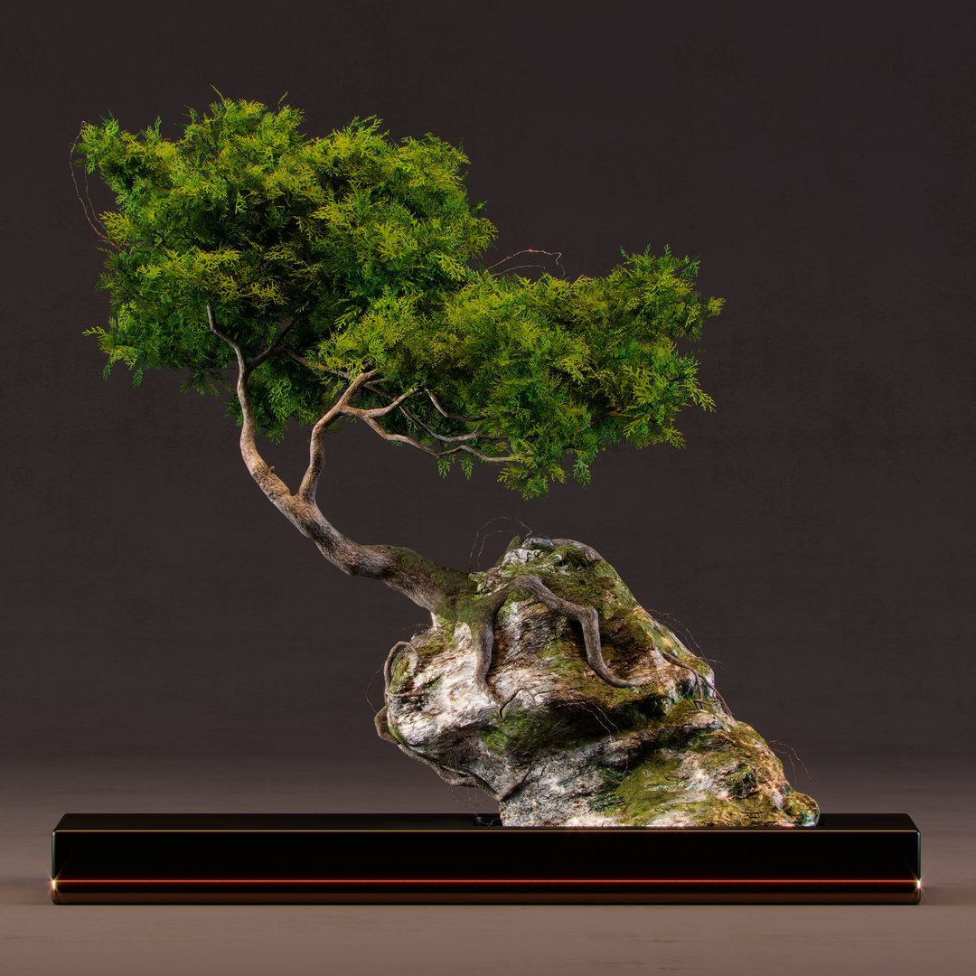 3D model bonsai https://p.turbosquid.com/ts-thumb/m4/2HlXLX/dhtnwYjq/01/jpg/1498761645/1920x1080/fit_q87/77977063f54f08b471bc2497152c256244768538/01.jpg