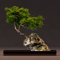 3d bonsai
