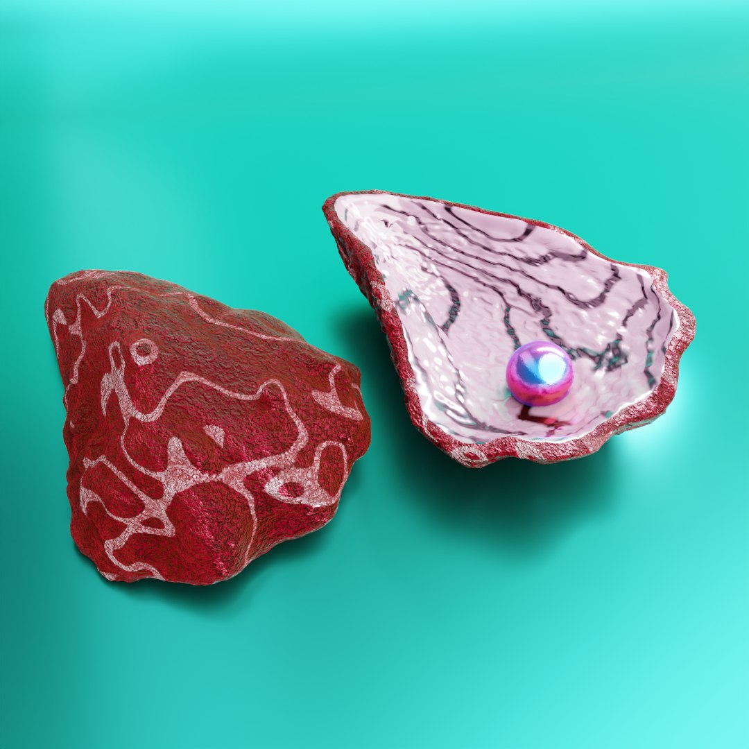 Oyster Shell Vol Four 3D Model - TurboSquid 2300112
