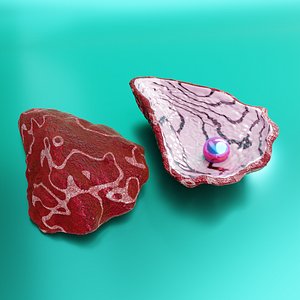 oyster shell vol four 3D model