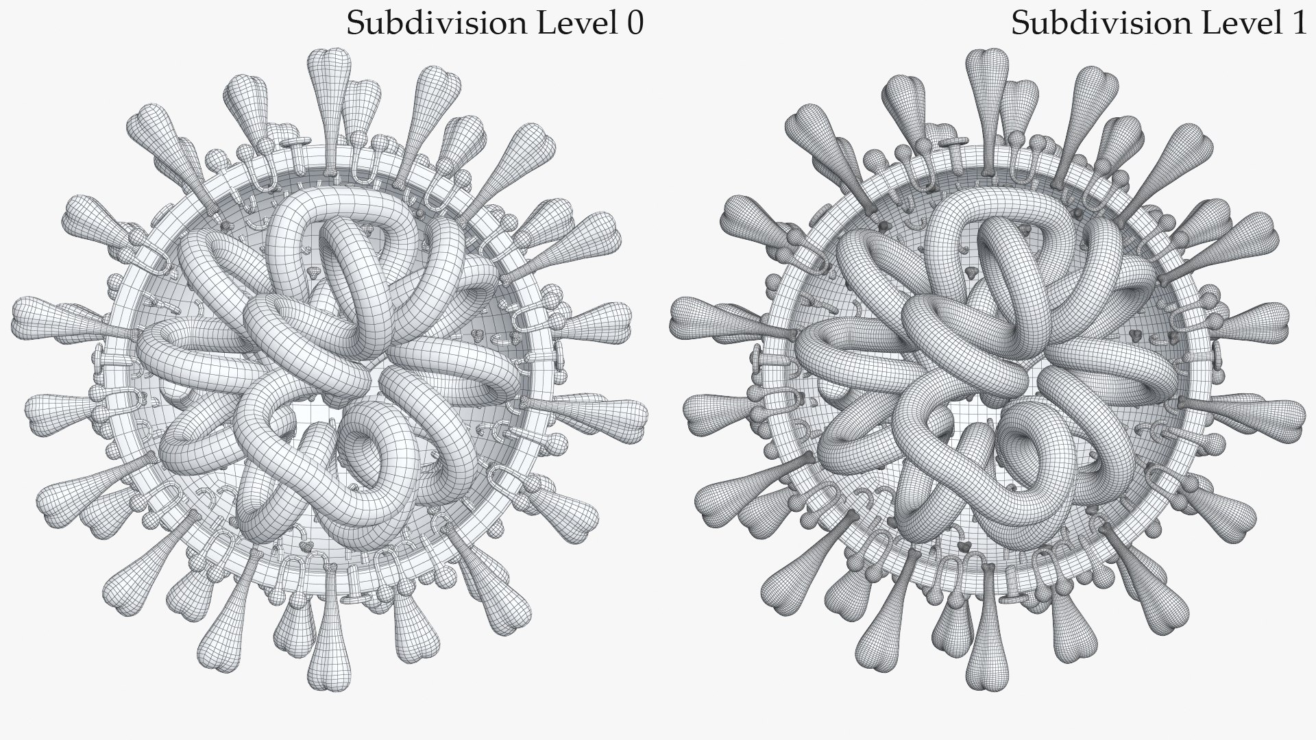 3D Model Coronavirus Cross Section - TurboSquid 1536927