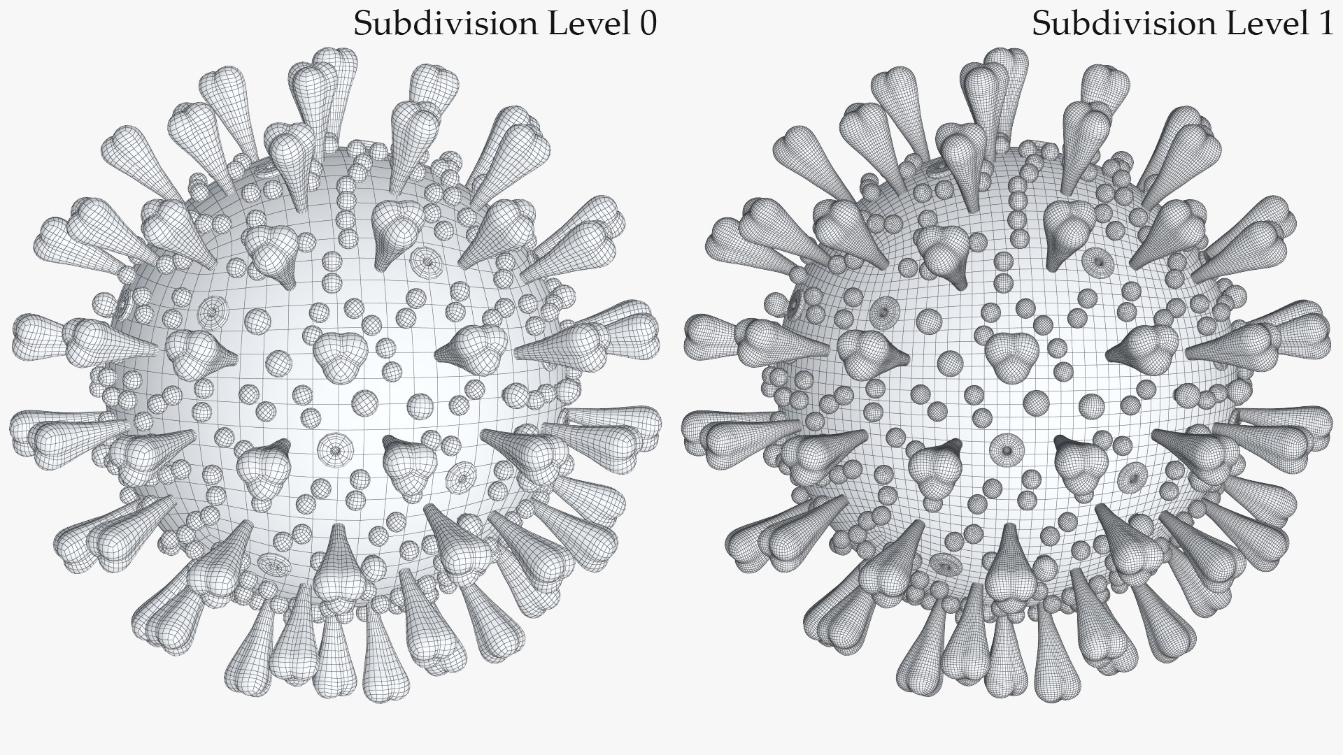 3D Model Coronavirus Cross Section - TurboSquid 1536927