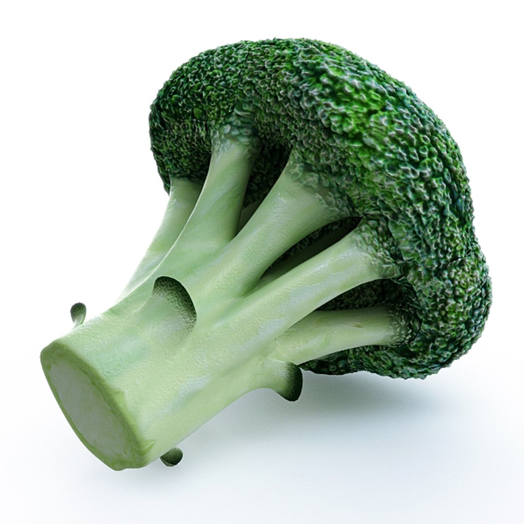 3d model vegetables broccoli cabbage https://p.turbosquid.com/ts-thumb/m4/MWHONb/3AnE50iS/broccoli_05/jpg/1304075600/1920x1080/fit_q87/dddcbb22f93d9cb738ab0fe1107e0e8d3ddca502/broccoli_05.jpg