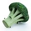 3d model vegetables broccoli cabbage