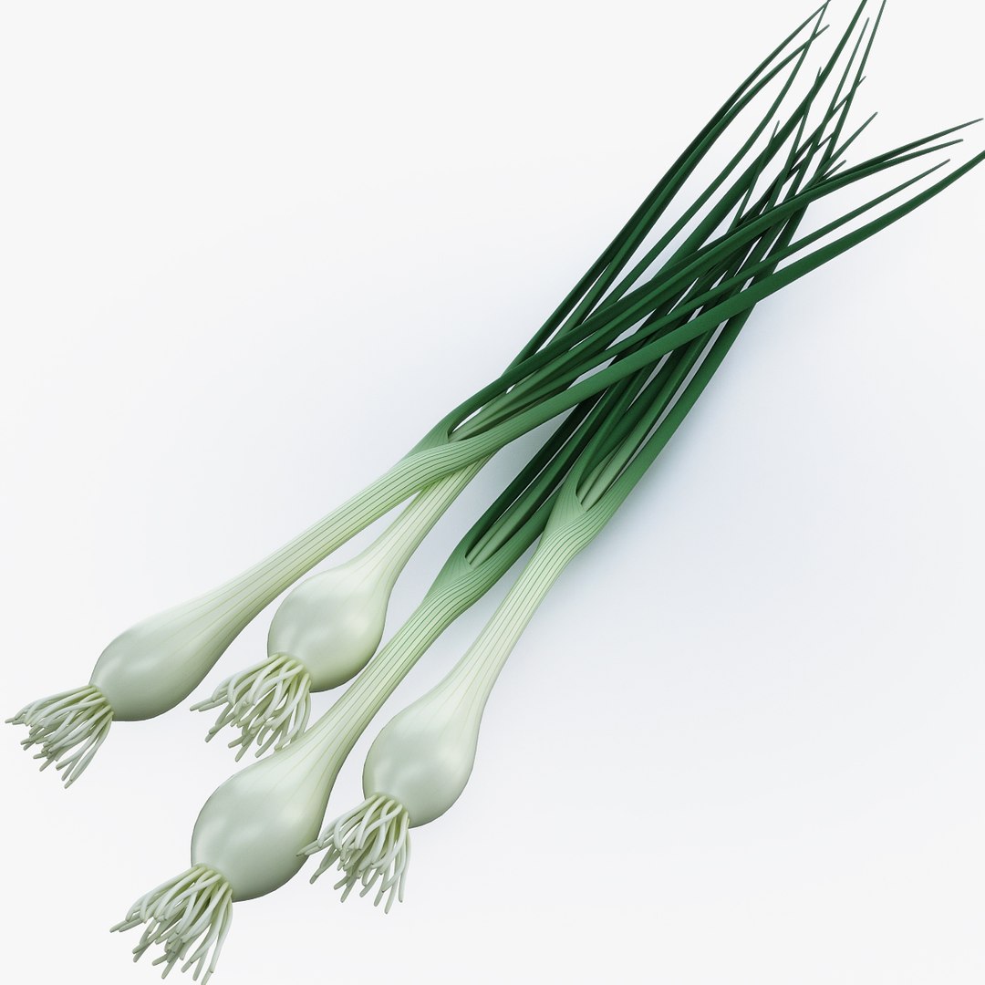 3d model vegetables broccoli cabbage https://p.turbosquid.com/ts-thumb/m4/MWHONb/DU50QxRl/onion_green_01/jpg/1304075600/1920x1080/fit_q87/5f974f9f38a66a198664c27f9a8fb0ad14d1e199/onion_green_01.jpg
