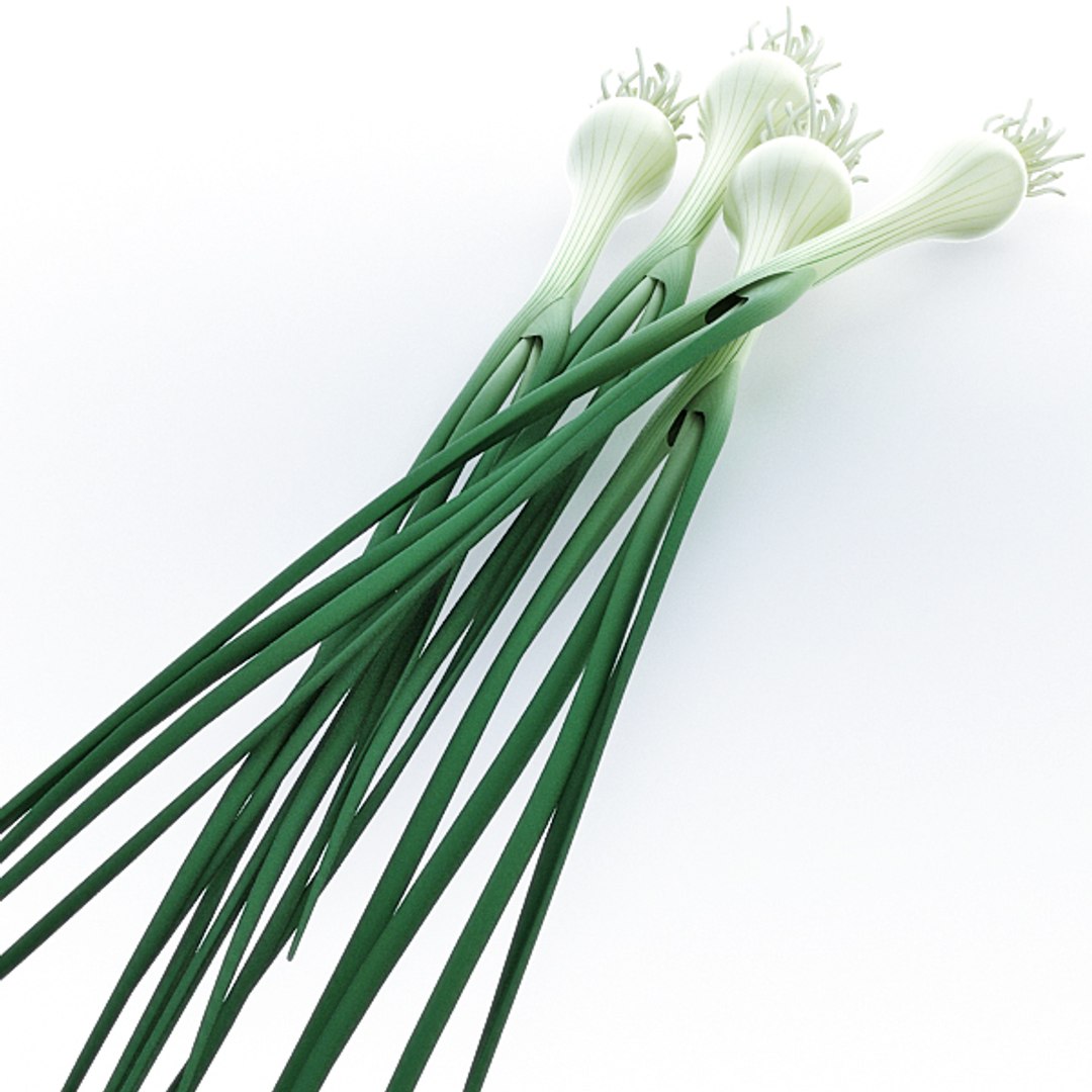 3d model vegetables broccoli cabbage https://p.turbosquid.com/ts-thumb/m4/MWHONb/FUAVlUxA/onion_green_03/jpg/1304075600/1920x1080/fit_q87/478eea520856bddf62fd20846e34f6fdad1eae4b/onion_green_03.jpg