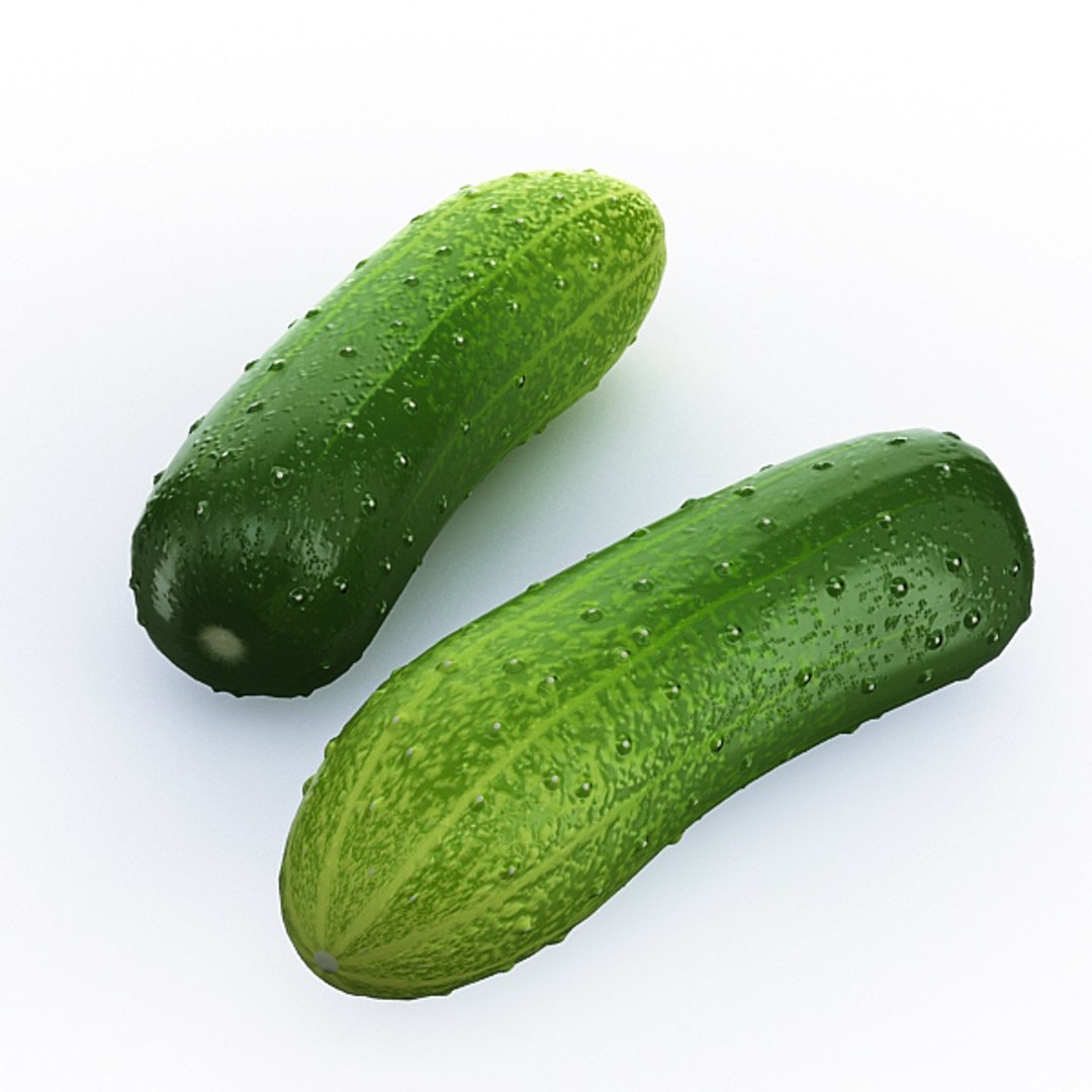 3d model vegetables broccoli cabbage https://p.turbosquid.com/ts-thumb/m4/MWHONb/O9m0fwdn/cucumber_02/jpg/1304075600/1920x1080/fit_q87/0425a49580d9162965e85e1ae23b674d5aacf9c9/cucumber_02.jpg