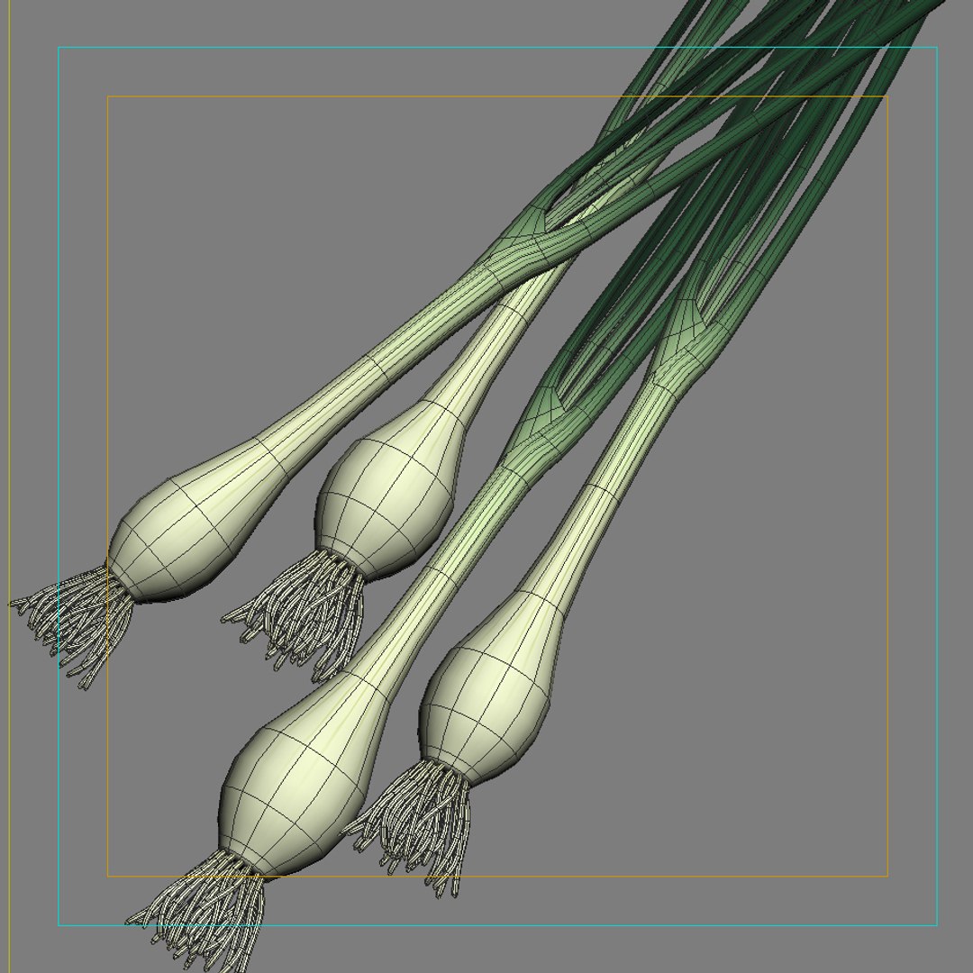 3d model vegetables broccoli cabbage https://p.turbosquid.com/ts-thumb/m4/MWHONb/aZNKfG1b/onion_green_mesh/jpg/1304075600/1920x1080/fit_q87/d39f715dd7b6f7e7202530977eded7d19a8ce8e0/onion_green_mesh.jpg