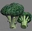 3d model vegetables broccoli cabbage