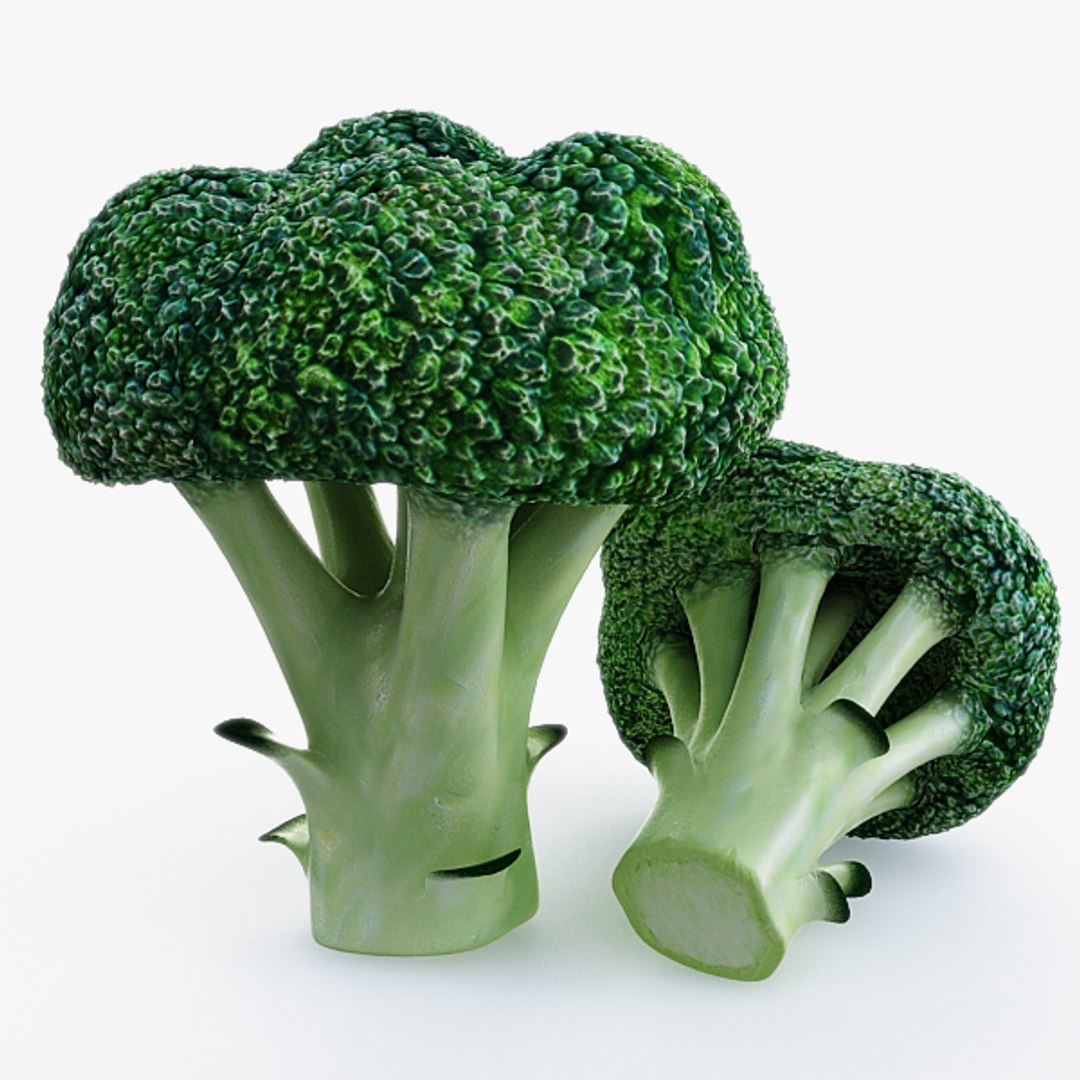 3d model vegetables broccoli cabbage https://p.turbosquid.com/ts-thumb/m4/MWHONb/r1CgBT2b/broccoli_01/jpg/1304075600/1920x1080/fit_q87/c54726e100bb9372d3406f59dfb7fe98659cd4a9/broccoli_01.jpg