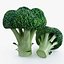 3d model vegetables broccoli cabbage
