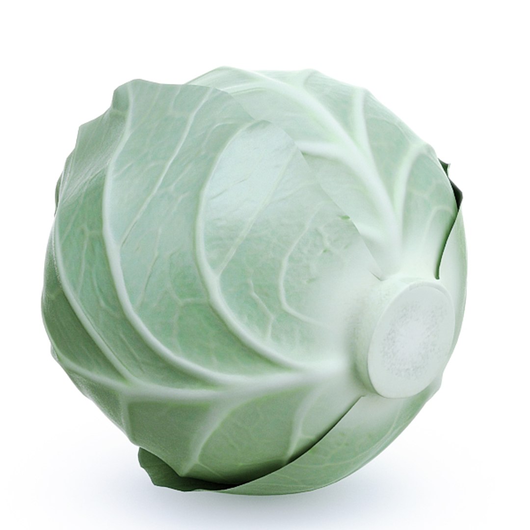 3d model vegetables broccoli cabbage https://p.turbosquid.com/ts-thumb/m4/MWHONb/tJLcm0dv/cabbage_04/jpg/1304075600/1920x1080/fit_q87/5f63f3dd9174e89b984408fe217fb1ab8b7868f1/cabbage_04.jpg