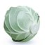 3d model vegetables broccoli cabbage