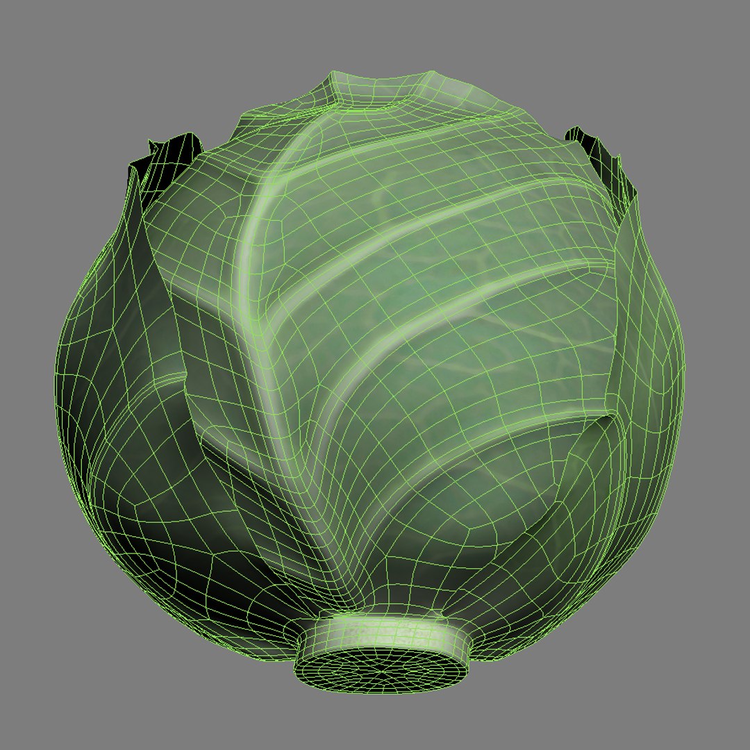 3d model vegetables broccoli cabbage https://p.turbosquid.com/ts-thumb/m4/MWHONb/x35MH2Ru/cabbage_mesh_1/jpg/1304075600/1920x1080/fit_q87/92bd70d8d2c4caee23fdd68f79f3dc52d1d916fa/cabbage_mesh_1.jpg