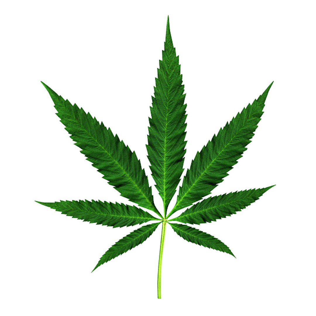 Cannabis Leaf 3d 3ds