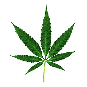 cannabis leaf 3d 3ds